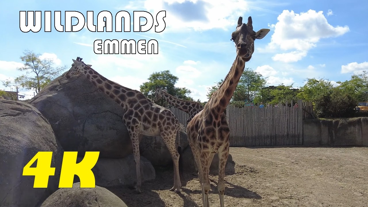 Зоопарк Приключений Wildlands || Эммен || 2025