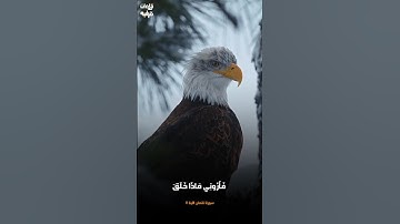 تلاوة هادئة ستريح بالك من الشيخ محمد صديق المنشاوي رحمه الله #تلاوة_خاشعة #محمد_صديق_المنشاوي