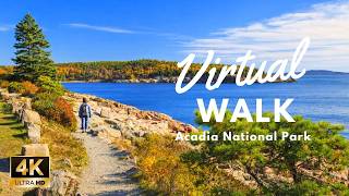 One of the Most Beautiful Walks in the US | Acadia National Park Ocean Path 4K with Nature Sound
