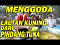 The Onsu Masak - Nikmatnya Genangan Kuah Sedap Lautan Kuning PINDANG TUNA!!!