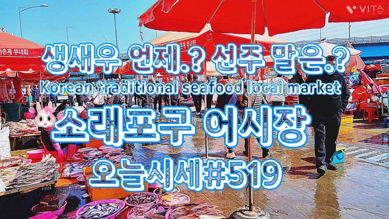 2026년 3월 8일 일요일 소래포구 어시장 시세입니다. 난전어시장 생새우 언제 판매 될까요.? 선주에게 물어 보았습니다. 그외 어시장 웅성웅성 장사하네요.