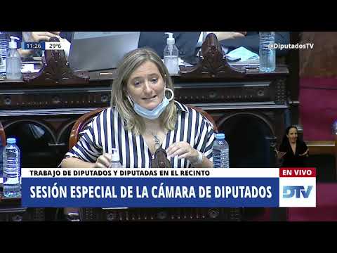 Diputada Lehmann, María Lucila - Sesión 10-12-2020  - MO