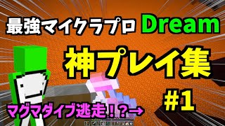 【マインクラフト】海外プロプレイヤーDreamの神プレイまとめ#1【日本語字幕】