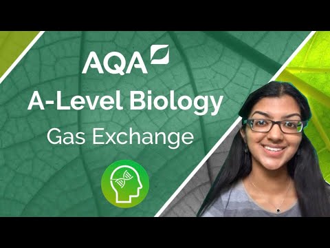 AQA A Level Biology: Gas Exchange