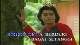 Pohon Cinta Berduri - Rajawali (HD/Karaoke/HiFiDualAudio)