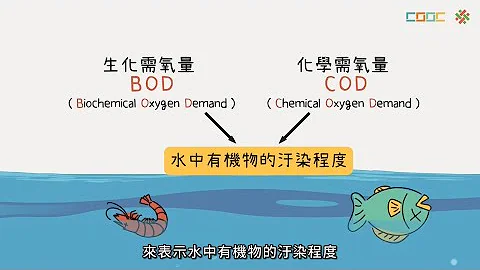 108新課綱｜高一化學｜【觀念】水污染與處理 - 天天要聞