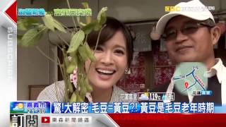 淑麗氣象趴趴GO驚!大解密 毛豆=黃豆?! 黃豆是毛豆老年時期