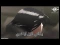 يسألني الليل