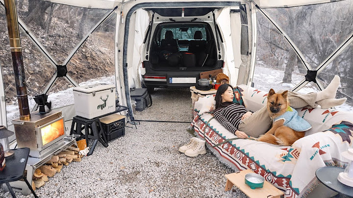 -5℃ Solo Camping in a Snowy Mountain with Strong Winds, a new Wood Stove, and My Dog / Camping V-log