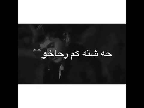 خوشترين فيديو بئ ناف اغاني كرديه بدرن حقوق حالات واتساب كردي بدون لولكو