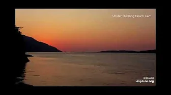 Sunset and Orca calls - Strider Rubbing Beach Cam - explore.org - OrcaLab