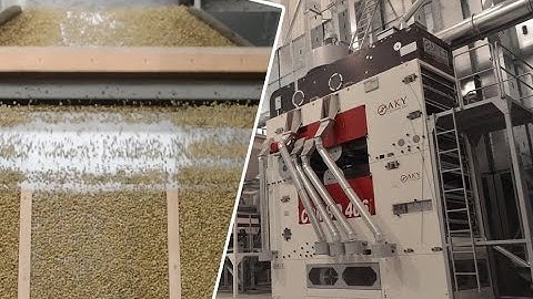 Pulses Processing Plant - AKY Technology