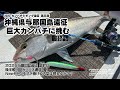 2025カンパチジギング第3弾 深海の巨大カンパチに挑む！　～沖縄県与那国島遠征 最終話～