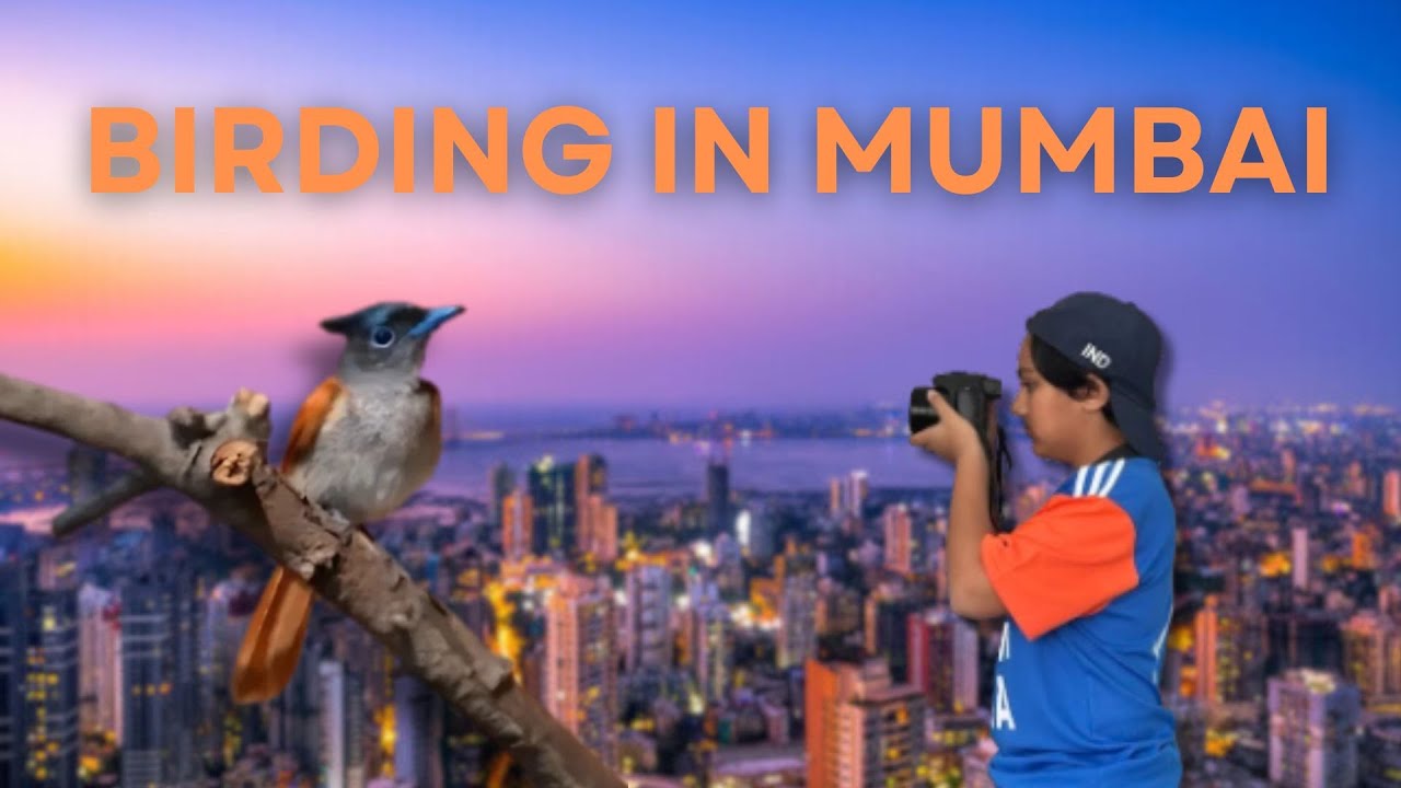 Birding in Mumbai