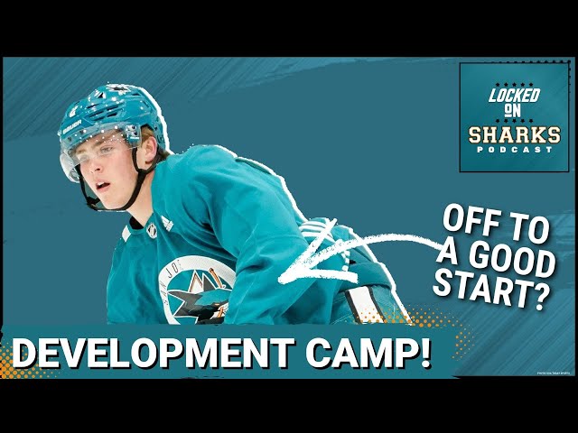 Improved Size in Sharks' Prospect Pool on Display at Development Camp