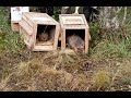 Scottish Beavers Community Event October 2020 | Royal Zoological Society of Scotland