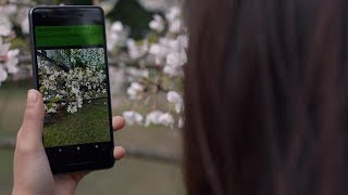 Google AI Experiments- Detecting Plant and Skin Diseases with AI | Digit.in screenshot 5
