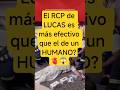 RCP de LUCAS vs RCP Humano #aleexcardio #lucas