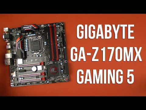 Распаковка Gigabyte GA-Z170MX-Gaming 5 Распаковка Gigabyte GA-Z170MX-Gaming 5
