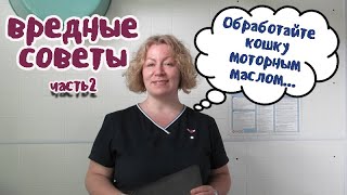 Для лечения от лишая используйте автомобильные смазки. Вредные советы. Для лечения от лишая используйте автомобильные смазки. Вредные советы.