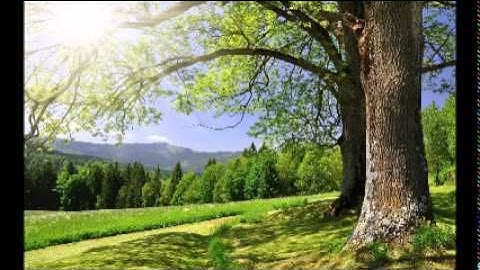 Surat Al Forqan  أواخر سورة الفرقان
