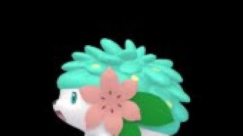 [ダイパリメイク] 完全自動シェイミ色違い厳選 || Pokémon BDSP