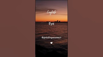 How to Say EYE in |Multi Language| #shorts#youtubeshorts#youtube#languages#globallinguaconnect