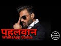 Pehlwaan - Suneil Shetty Dialogue WhatsApp status