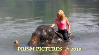 Famous Animal Magnetism - Official Trailer 1 [HD] Net Worth