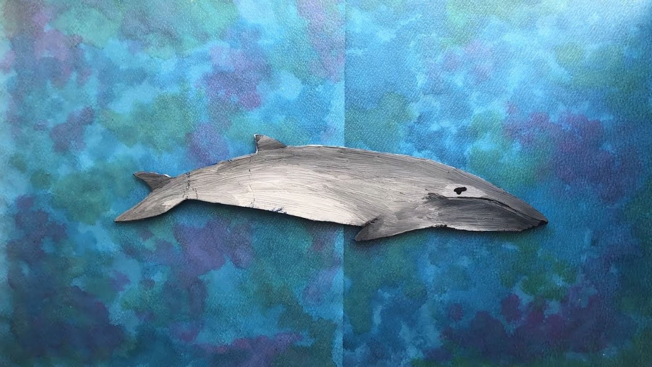 Waltraud - Die Geschichte einer Zwergwal-Dame