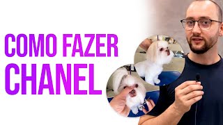 COMO FAZER CHANEL NO CACHORRO (TOSA BEBÊ)