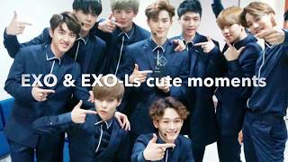 EXO and EXO-Ls cute moments