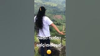 යකෝ පැන්නා නේද කන්දෙන් පල්ලට මේකී 😬😮😳