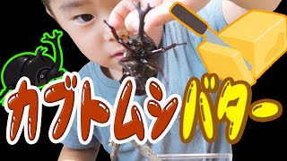 【神回！】カブトムシバターとはいったい！？。。かんたの初めてのペット。。。脱走！沈黙！絶叫！リアクションがやばすぎる！！