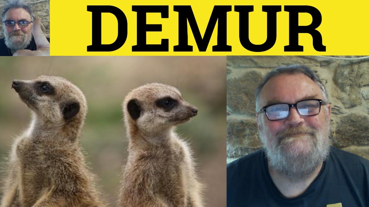  Demur Meaning Demur Examples Demur In A Sentence Vocabulary For 