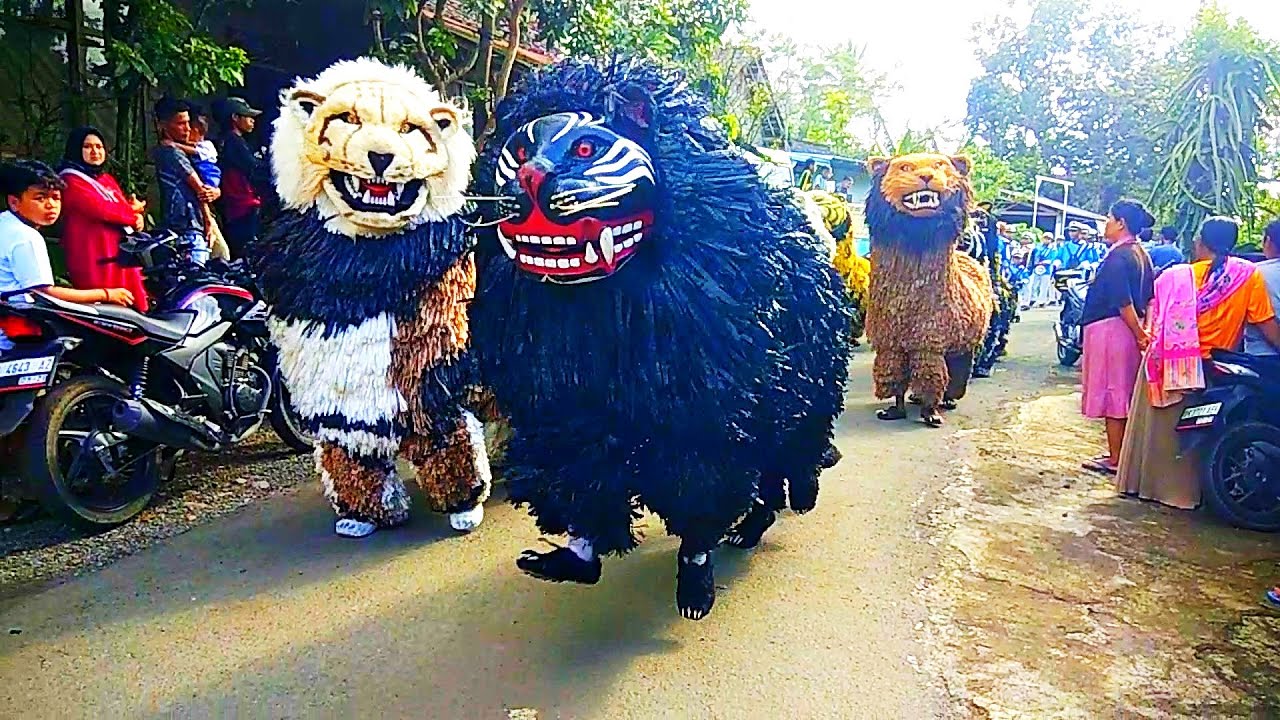 Ini MACAN BA LAKEK diiringi DRUMBAND ba lakek arak arakan kejar kejar penonton sampai jerit jerit