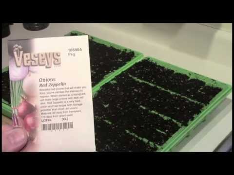 Planting Onions, Aerogarden and Hydroponics Up-date.