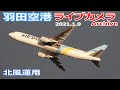 羽田空港 ライブカメラ 2021/1/9 Planespotting Live from TOKYO HANEDA Airport  離着陸 Landing Takeoff ライブ配信