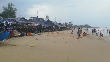 Bà Rịa - Vũng Tàu: Bãi biển Hồ Tràm kêu cứu vì ô nhiễm