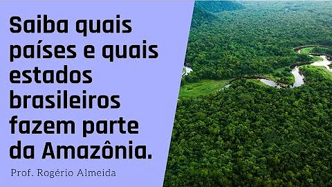Qual região está localizada a floresta Amazônica?