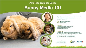 AVS Free Webinar Series | Bunny Medic 101