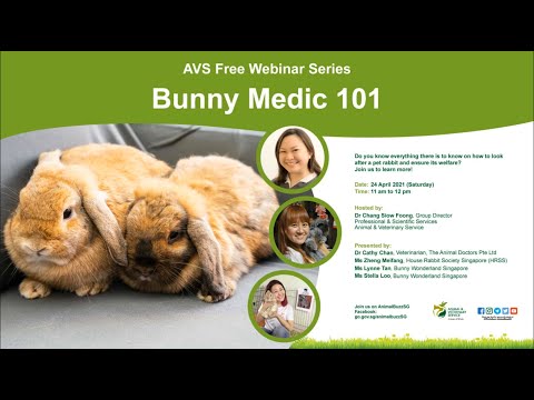 AVS Free Webinar Series | Bunny Medic 101
