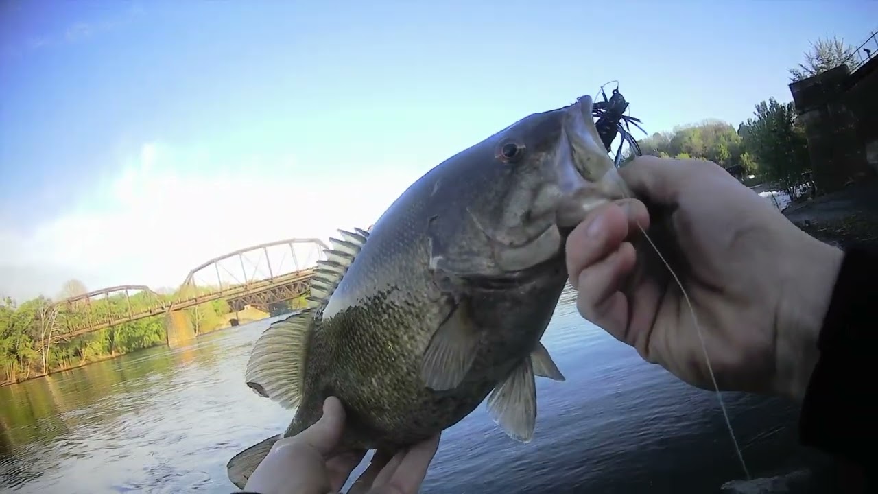easton pa fishing pole 5.0 Shafts Match Grade / 250 Kistler Big Game Crappie Pole Features Delaware River Easton PA ,