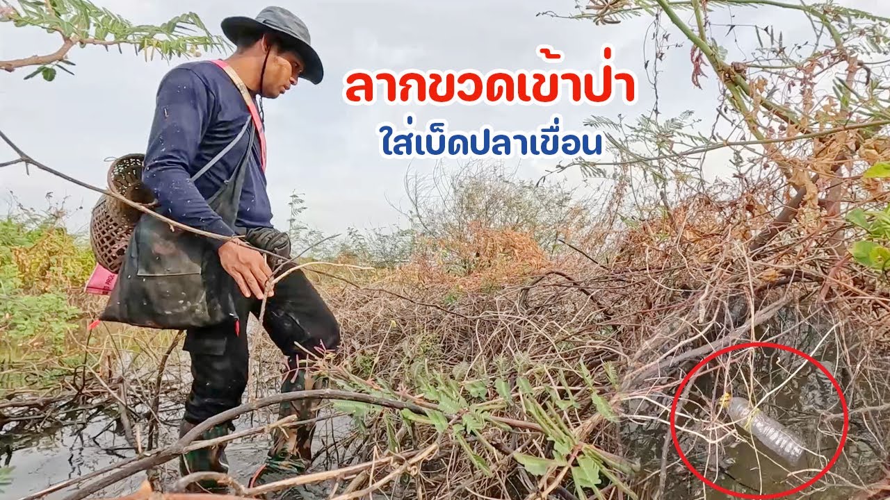 ใส่เบ็ดปลาช่อนเขื่อน เหยื่อปู ซ้ำหมายหมาน เจอลากขวดไปไกล มีแต่ปลาช่อนใหญ่ๆ