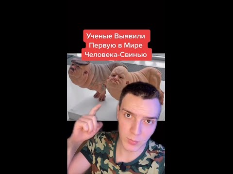 ПЕРВЫЙ В МИРЕ ЧЕЛОВЕКО-СВИН