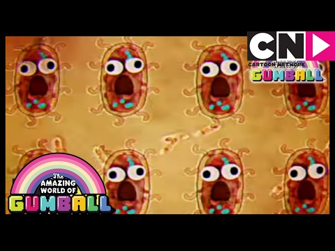 عالم غامبول الرائع عالم غامبول المدهش كرتون نتورك 