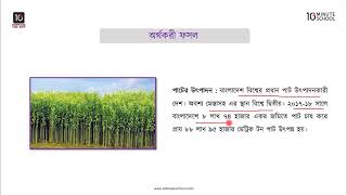 অধ্যায় ৪: কৃষি - বাংলাদেশের প্রধান কৃষিক্ষেত্র: অর্থকরী ফসল [HSC]