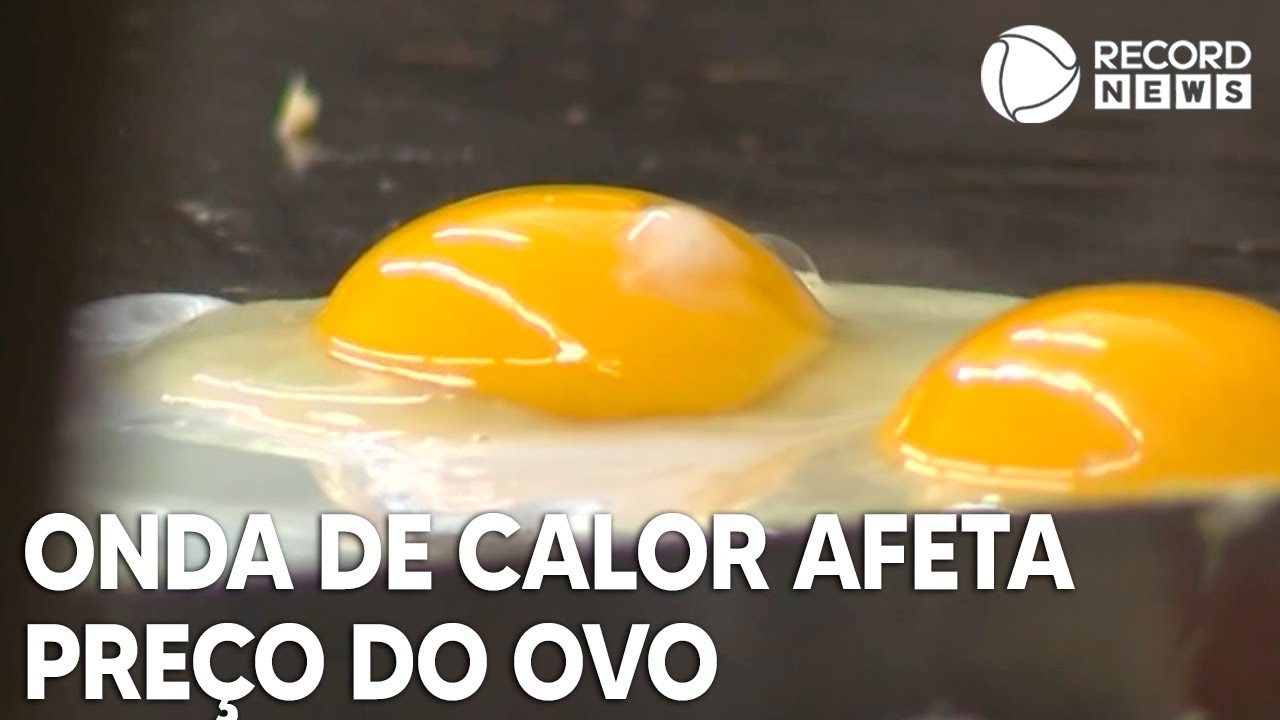 Onda de calor recente afeta os preços dos ovos de galinha