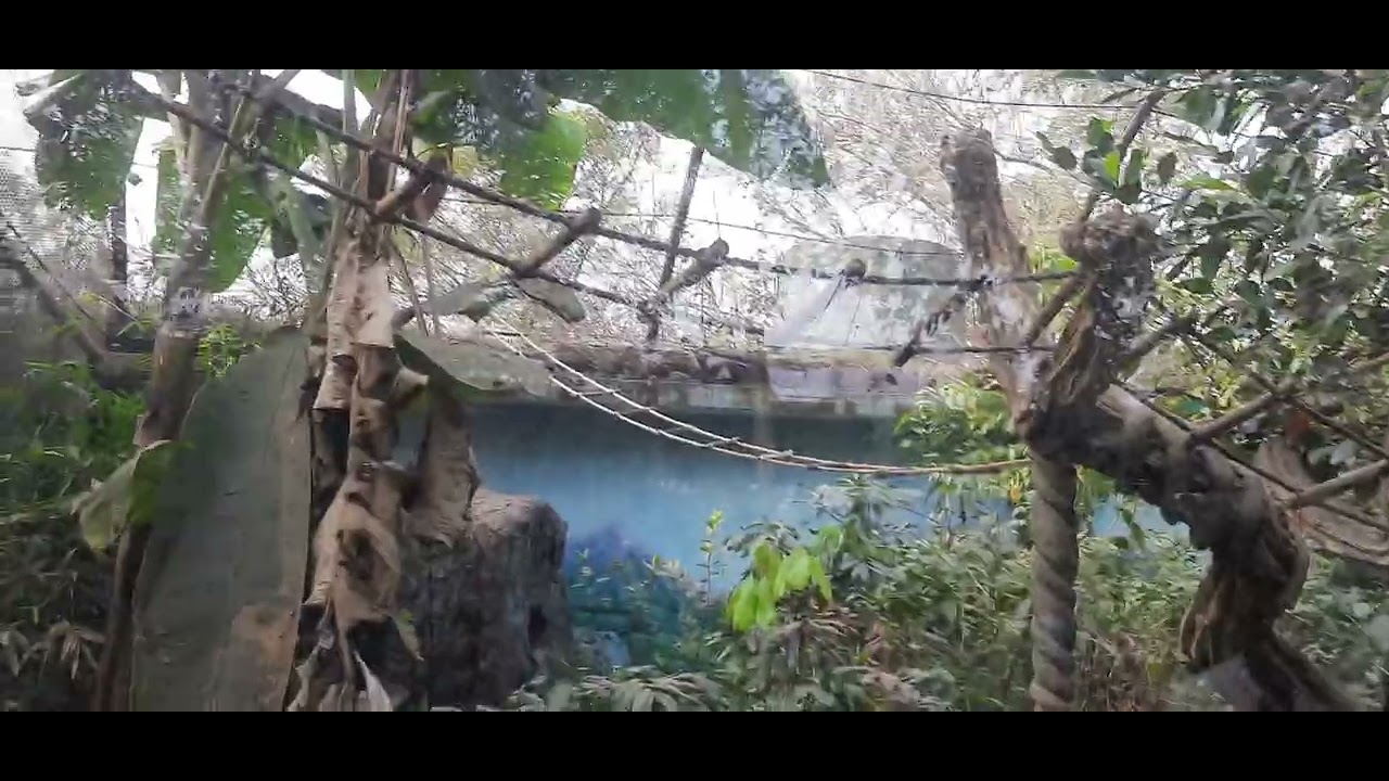 Nandan kanann zoo........