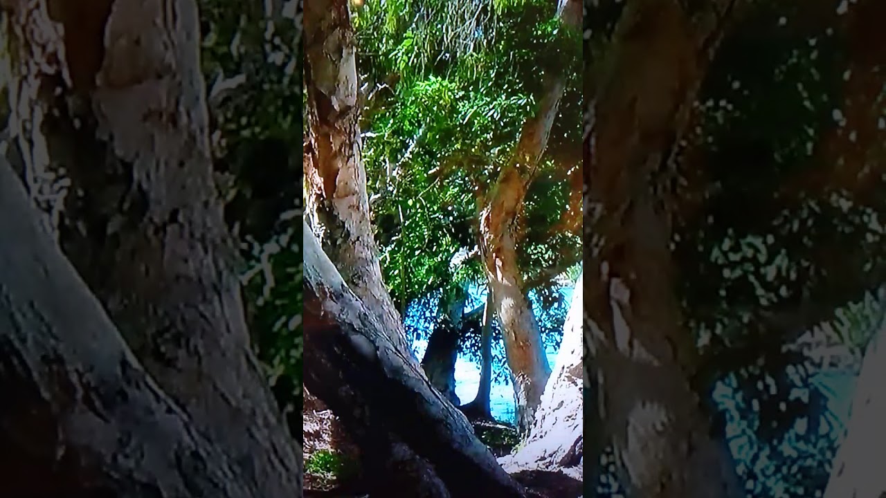 Perc Tucker Art Gallery